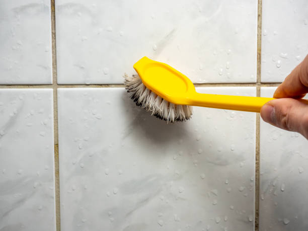 Certified Mold Removal in Helotes, TX