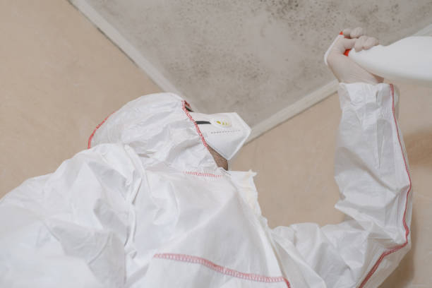 Best Mold Testing  in Helotes, TX