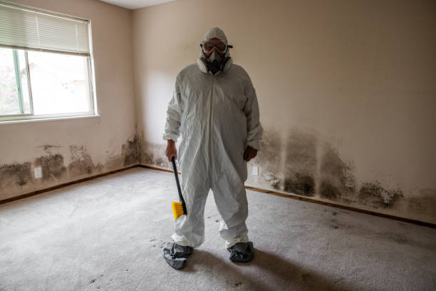 Certified Mold Removal in Helotes, TX